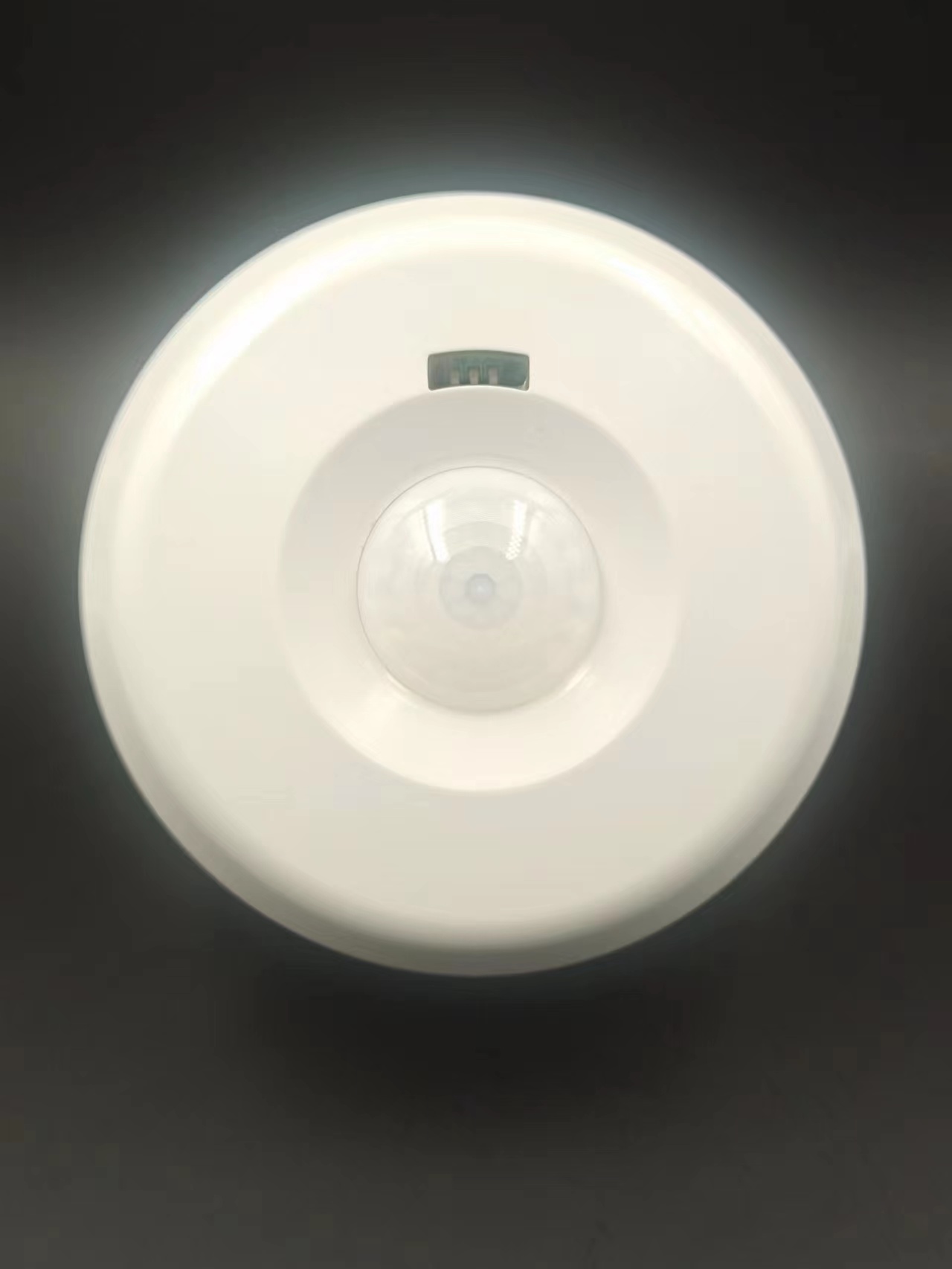 阿坝MDT-400S室内用被动红外探测器
